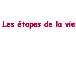 etape de la vie